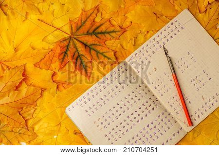 Old School Exercise Book With A Wooden Ink Pen On A Background Of Yellow Maple Leaves. A Exercise Bo