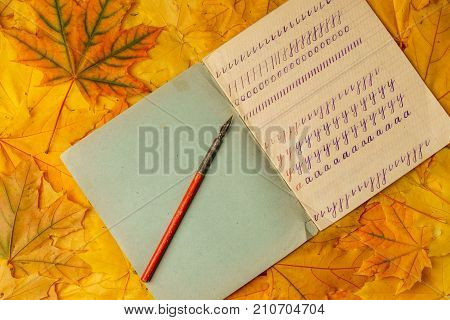 Old School Exercise Book With A Wooden Ink Pen On A Background Of Yellow Maple Leaves. A Exercise Bo
