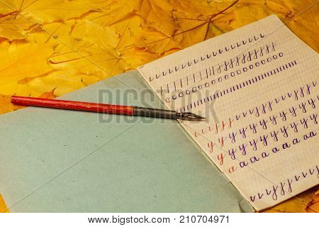 Old School Exercise Book With A Wooden Ink Pen On A Background Of Yellow Maple Leaves. A Exercise Bo
