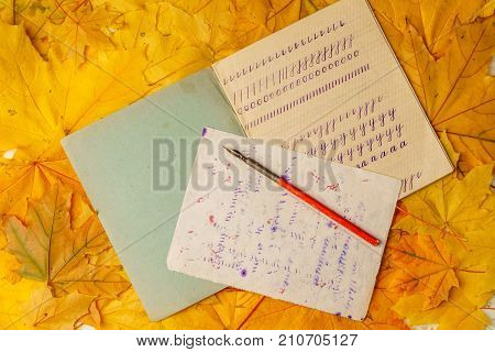 Old School Exercise Book With A Wooden Ink Pen On A Background Of Yellow Maple Leaves. A Exercise Bo