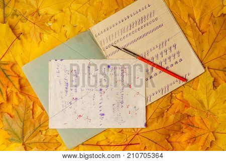 Old School Exercise Book With A Wooden Ink Pen On A Background Of Yellow Maple Leaves. A Exercise Bo