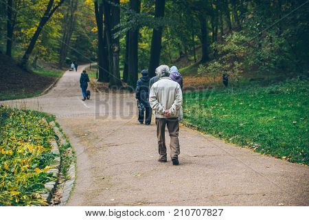 old man walking by autumn park alone