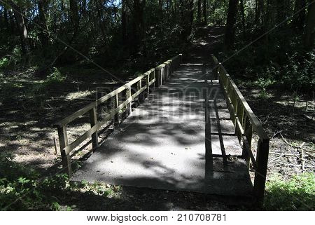 Bridge in the woods, nice shot of wooden bridge