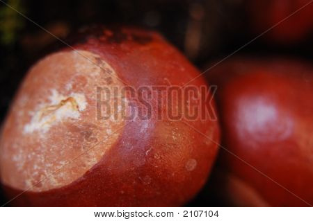 Castanhas