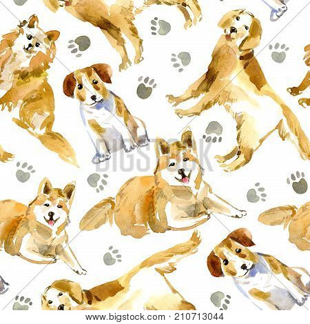 Seamless pattern of a dog and paw.Labrador,Jack Russell Terrier and husky.Domestic pet.Watercolor hand drawn illustration.White background.