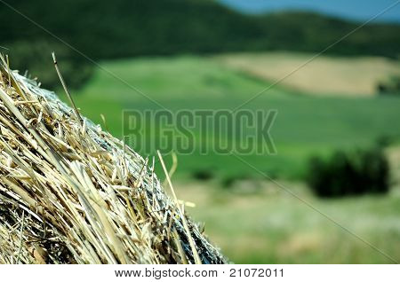 Un detalle de pacas de heno en la puesta de sol del país