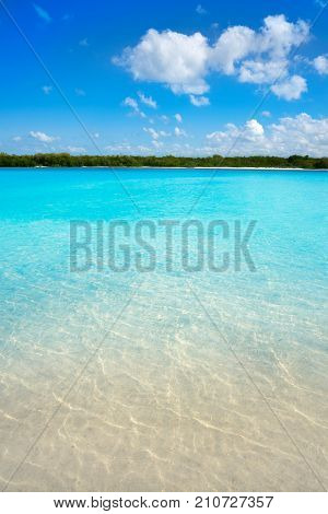 Holbox Island beach mangroove in Quintana Roo of Mexico