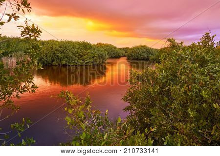 Mangroove sunset in Riviera Maya of Mayan Mexico
