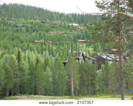 Architettura naturale