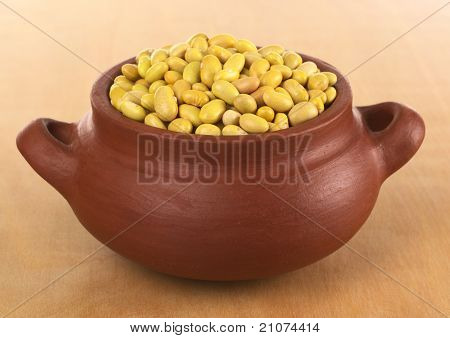 소박한 그릇에 원시 카나리아 콩