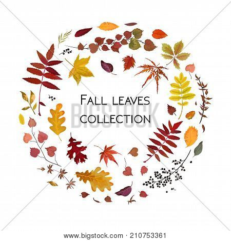 Vector floral watercolor style card design Autumn season: colorful various orange yellow brown red fall leaves herbs forest tree branches wreath Greeting postcard invite decorative nature element set