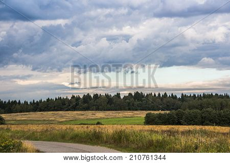 Storm clouds over the forest. Beautiful menacing sky over the field.
