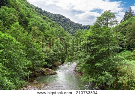 Flowing Firtina River In Rize In Forest