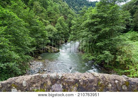 Flowing Firtina River In Rize In Forest