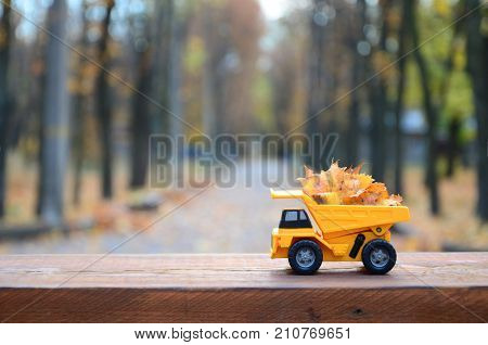 A Small Toy Yellow Truck Is Loaded With Yellow Fallen Leaves. The Car Stands On A Wooden Surface Aga