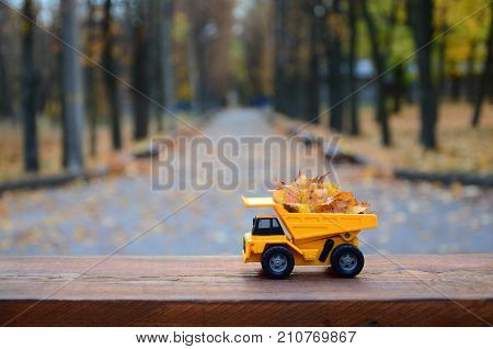 The Concept Of Seasonal Harvesting Of Autumn Fallen Leaves Is Depicted In The Form Of A Toy Yellow T