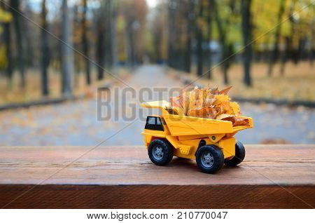 The Concept Of Seasonal Harvesting Of Autumn Fallen Leaves Is Depicted In The Form Of A Toy Yellow T