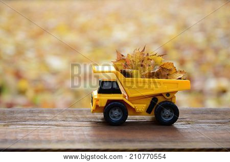 A Small Toy Yellow Truck Is Loaded With Yellow Fallen Leaves. The Car Stands On A Wooden Surface Aga