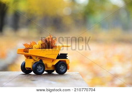 A Small Toy Yellow Truck Is Loaded With Yellow Fallen Leaves. The Car Stands On A Wooden Surface Aga