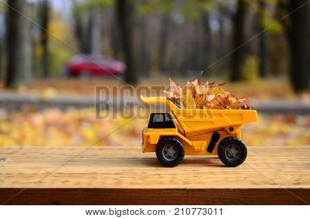 The Concept Of Seasonal Harvesting Of Autumn Fallen Leaves Is Depicted In The Form Of A Toy Yellow T