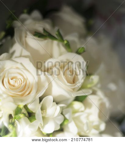 Civil Wedding Bridal Bouquet
