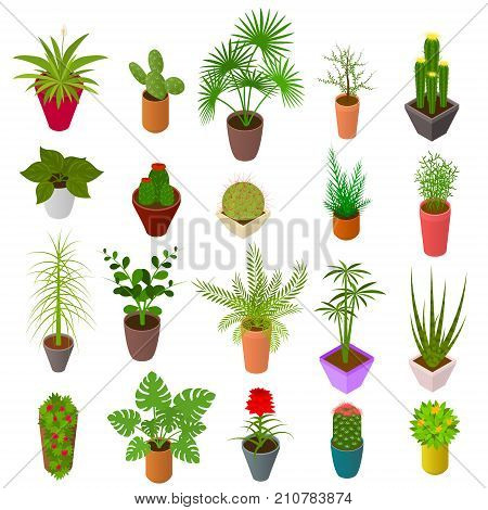 Green Plants in Pot Set Icons 3d Isometric View Element Decoration Interior for Home, Shop or Office. Vector illustration of Potted Plant