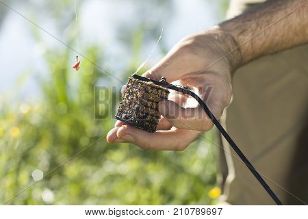 An angler's hand holds a groundbait box with bait and a leader with a hook with larvae of fly