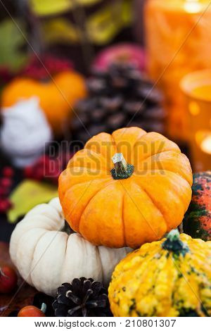 Autumnal Colorful  Pumpkins  On Candle And Fallen Leaves Background