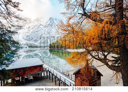 Scenic image of alpine lake Braies (Pragser Wildsee). Location Dolomiti, national park Fanes-Sennes-Braies, Italian Alps Europe. Fabulous wallpapers. Explore the beauty of earth. Tourism concept. 