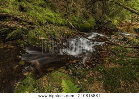 Javori Creek In Krkonose Mountains National Park In Autumn Color Day
