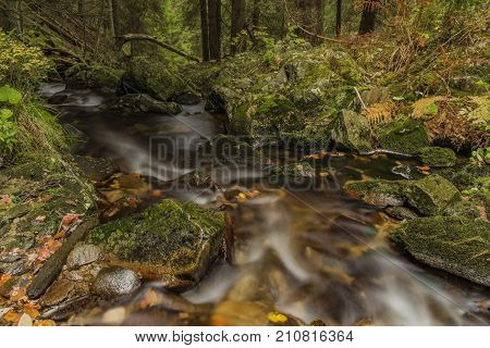Javori Creek In Krkonose Mountains National Park In Autumn Color Day