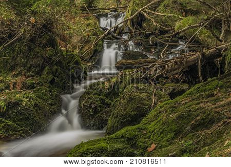 Javori creek in Krkonose mountains national park in autumn color day
