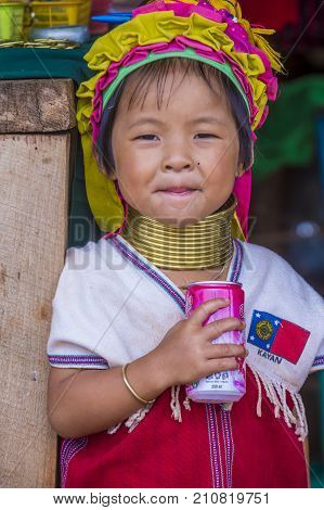 KAYAN STATE MYANMAR - SEP 09 : Portrait of Kayan tribe girl in Kayan state Myanmar on September 09 2017 Kayan tribe woman are well known for wearing neck rings.