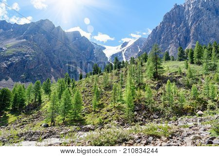 View On Glacier Small Aktru. Altai Republic. Russia