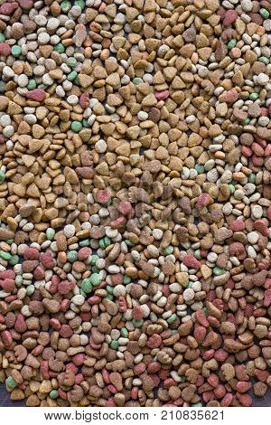 Dry pet food background - a lot of pieces of food in flat position.