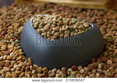Heart pet bowl filled by dry pet food