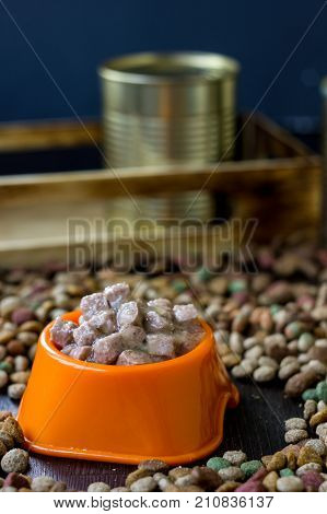 Wet canned pet food in a bowl surrounded by dry food