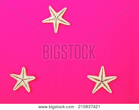 Minimal Style. Flat Lay. A Minimalistic Fashion Photo. Pop Art. A Colorful Simple Photograph Of Sea