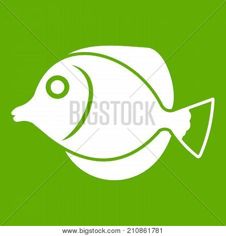 Tang fish, Zebrasoma flavescens icon white isolated on green background. Vector illustration