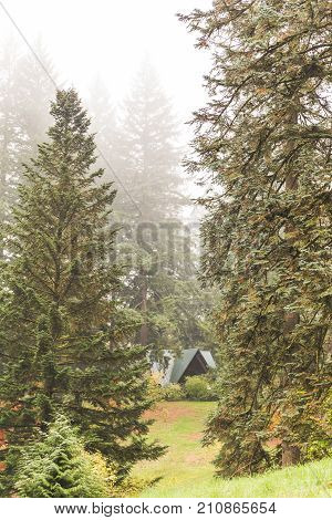 A-frame Structure In Foggy Forest