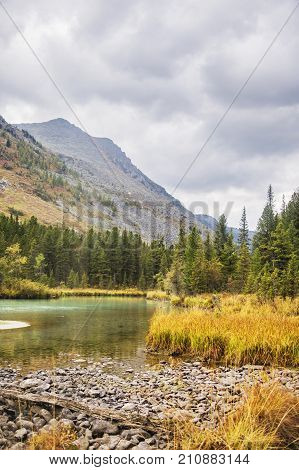 Multa River, Altai Mountains Landscape