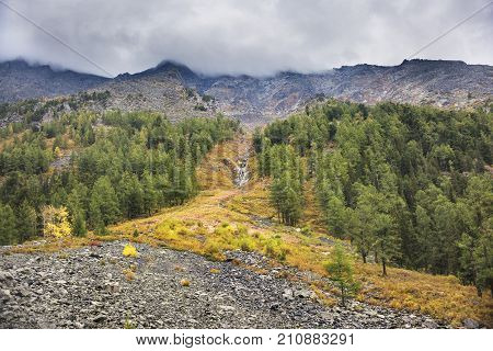 Forest On The Slope Of The Mountain Along The Multa River. Altai  Autumn Landscape.