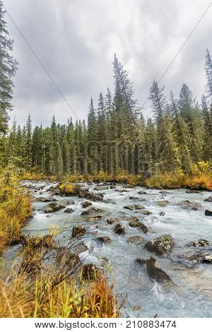 Multa River, Altai Mountains Autumn Landscape.