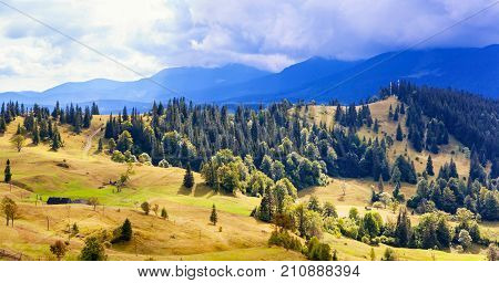 Green Hills Near Yasinya Village. Carpathian Mountains.