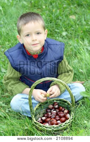 Őszi Joy