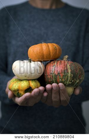 closeup of a young caucasian man with an assortment of different pumpkins in his hands