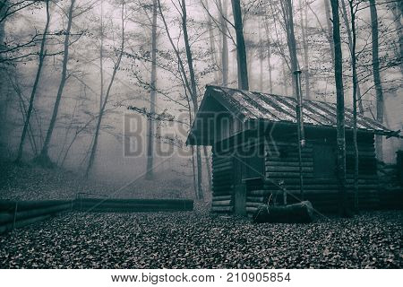Wooden Shack in the  Misty Forest. Horror Background