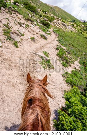 View To Steep Path From The Horse Back, Kyrgyzstan
