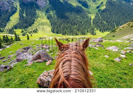 View To Steep Path From The Horse Back, Kyrgyzstan