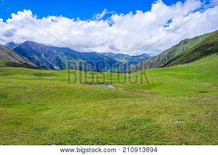 View Over Valley From The Horse Back, Kyrgyzstan